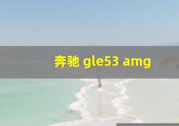 奔驰 gle53 amg